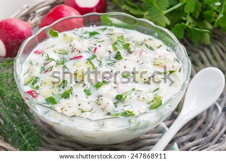 cold vegetable soup with kefir, top view, close-up