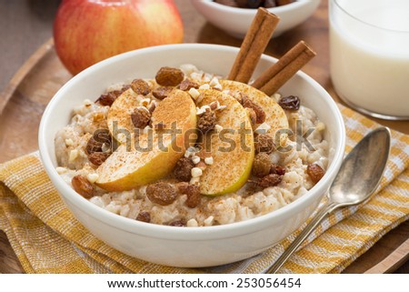 oatmeal with apples, raisins and cinnamon, top view, close-up, horizontal