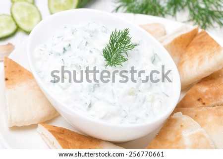 traditional yoghurt sauce tzatziki with pieces of pita bread, close-up