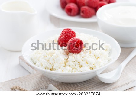 fresh homemade cottage cheese with raspberry, milk and yogurt, close-up, horizontal