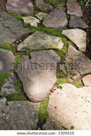 A rock path in this garden with moss growing between the rocks