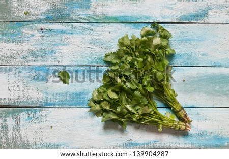 bunch of green fresh coriander on a wooden background