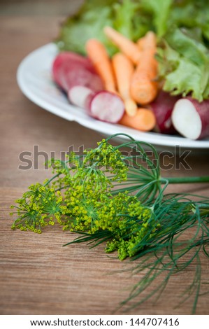 fresh vegetables on a wooden background, focus in the foreground