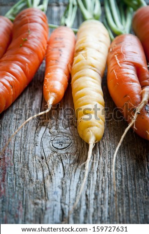 colorful carrots macro