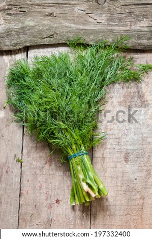 Bunch of fennel on a wooden background