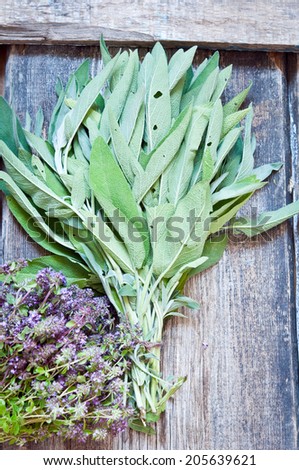 Bunches of fresh herbs thyme and sage on a wooden background