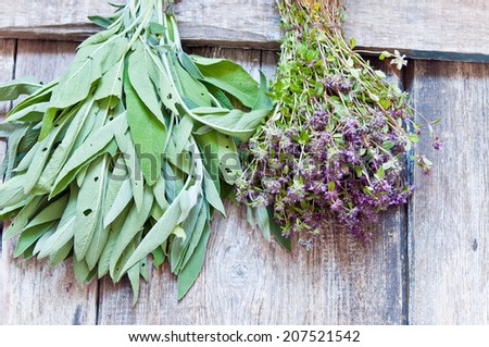 Fresh herbs on wooden surface