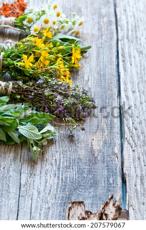 Fresh herbs on wooden surface