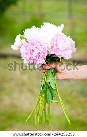 Bunch of peony in hand