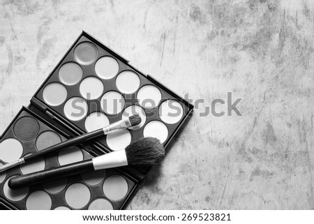 shadow kit with brush for make-up