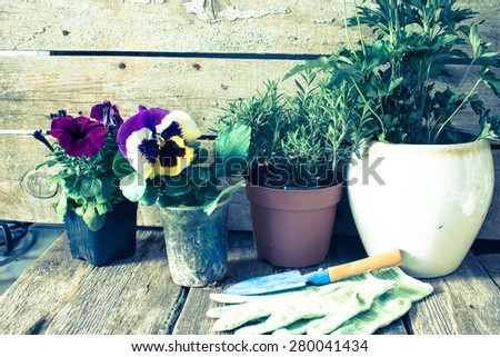 Rustic table with flower pots, potting soil, trowel/retro filter