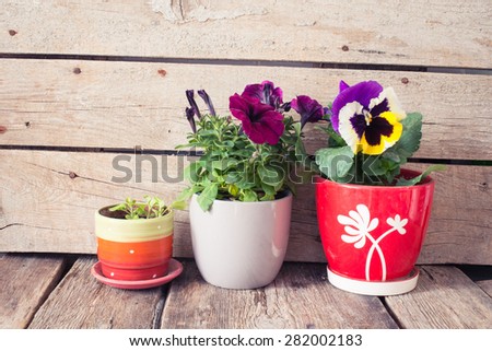 Rustic table with flower pots