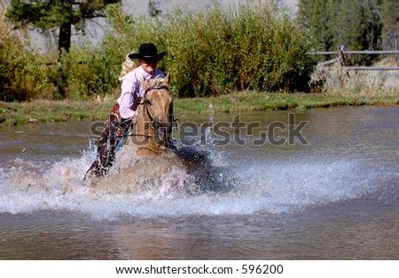 palomino galloping