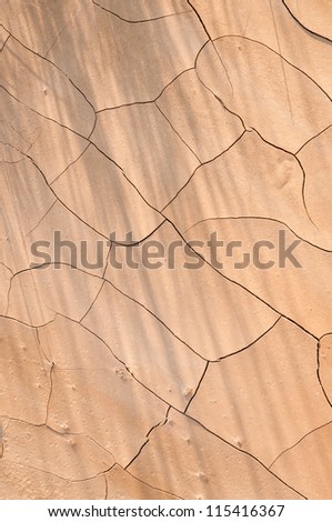 Cracked Mud Flats - with grass shadows