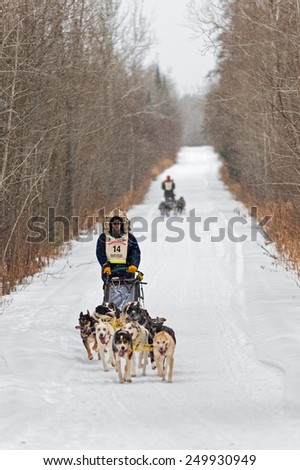 SILVER CREEK MN - JANUARY 25: Ryan Anderson\'s team leads a team down the trail during the Marathon portion of the John Beargrease Sled Dog Race. Anderson finished first on January 27 2015 in Duluth MN
