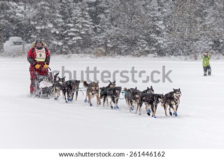 DULUTH, MN - JANUARY 27: Nathan Schroeder's team leaves Trail Center Checkpoint in the Marathon portion of the John Beargrease Sled Dog Race. Schroeder finished 1st on January 27, 2015 in Duluth, MN