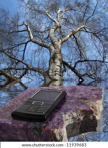 Tree with branches without leaves, mobile phone on a stone