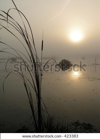 Foggy morning on Tul\'chinskom lake. The Moscow area.