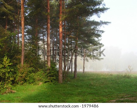 Foggy morning. Russia, the Moscow area, the middle dawn.