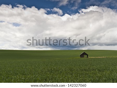 small barn in a green field with blue sky and clouds in the back ground