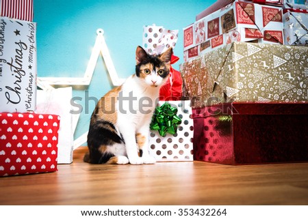 A cute cat with christmas presents