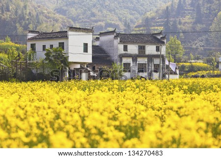 Rural houses in Wuyuan, Jiangxi Province, China.