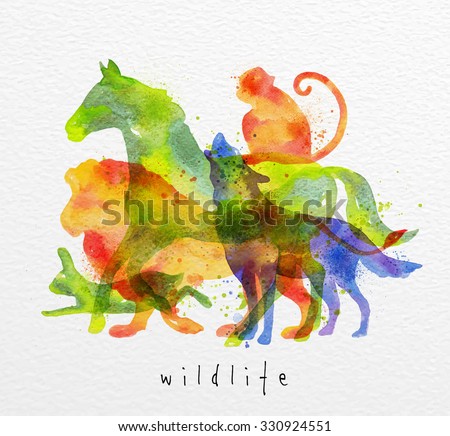 Color animals ,horse, wolf, monkey, lion, rabbit, drawing overprint on watercolor paper background lettering wildlife