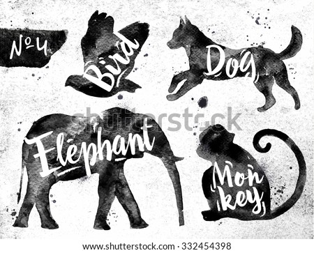 Silhouettes of animal bird, dog, monkey, elephant drawing black paint on background of dirty paper