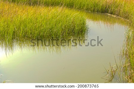 A view of a bend of Shem Creek as it winds it way through a salt water marsh of Mount Pleasant, South Carolina.