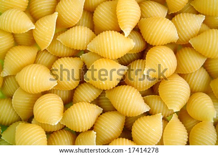 Shells pasta background. Italian food texture detail.