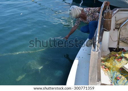 ZAKYNTHOS, GREECE - JULY 5, 2015: Woman points to a caretta-caretta loggerhead sea turtle feeding below the fishing boats at Limni Keri beach in Zakynthos. Endangered animal species.