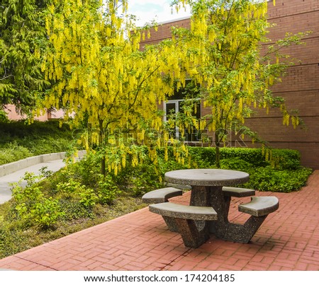 Recreation area in a calm place in a city. Round table with four benches around. Small garden square with round table in modern cityscape.