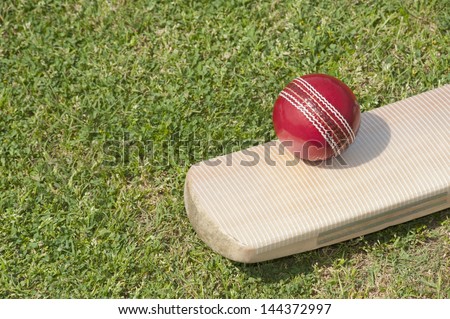 Cricket ball on a cricket bat in a field