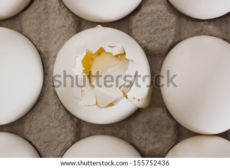 Broken egg in a carton with other eggs