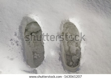 Footprints in snow, Kashmir, Jammu And Kashmir, India