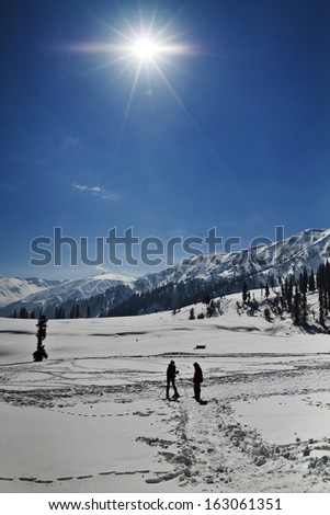 Tourists skiing on the snow covered landscape, Kashmir, Jammu And Kashmir, India