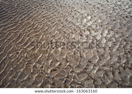 Sand pattern on the beach, Alibag, Raigad District, Konkan, Maharashtra, India