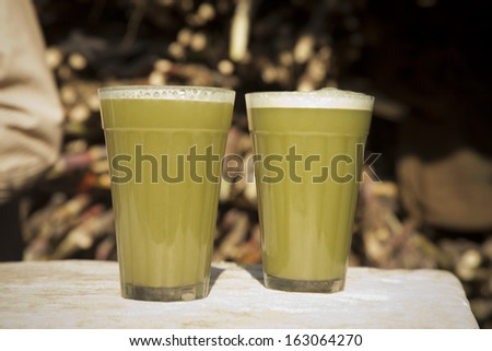 Close-up of two glasses of sugar cane juice, Pushkar, Ajmer, Rajasthan, India