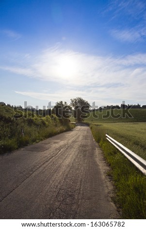 Dirt road passing through a landscape, Siena, Siena Province, Tuscany, Italy