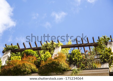 Plants on the terrace of a building, Rome, Rome Province, Lazio, Italy