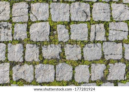 Cobblestone texture with grass growth between blocks
