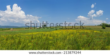Beautiful green farm field with red poppy flowers and yellow flowers with blue sky in the background