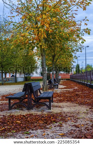 Empty benches in park in fall season