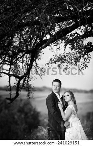 Black and white silhouette of newly married couple hugging at pa