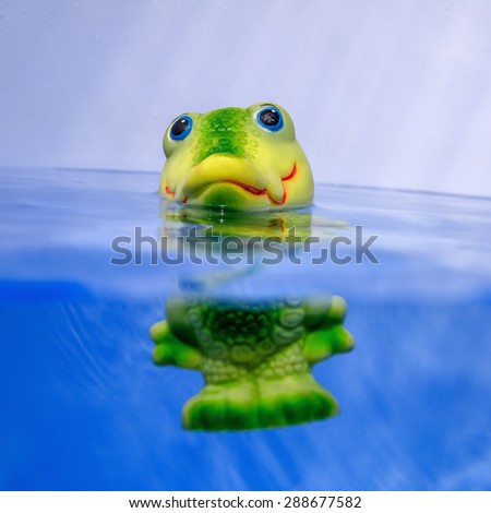 Toy crocodile in water