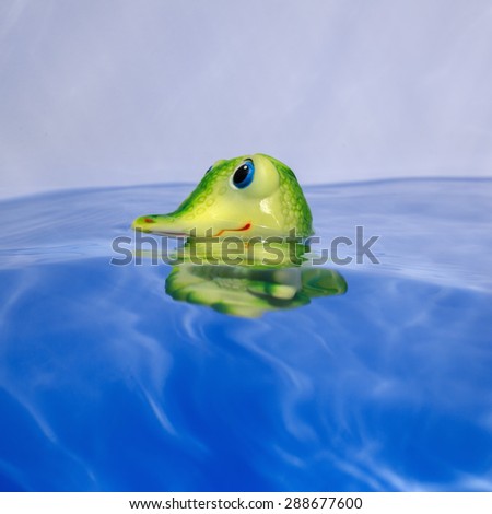 Toy crocodile in water