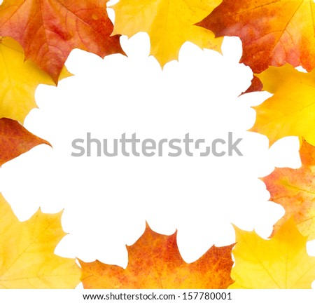 Autumn maple leafs isolated on white background