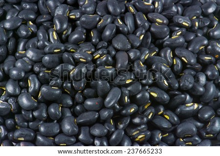 Black bean seed for processing to food and beverage