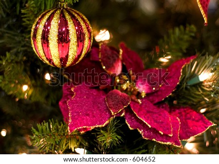 Christmas Decoration on Christmas Decorations  Red Poinsettia And Christmas  Ornament   Stock
