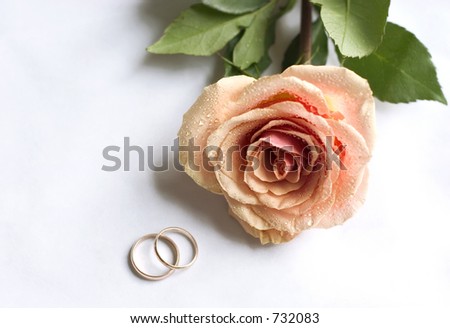 wedding invitation card with light orange rose